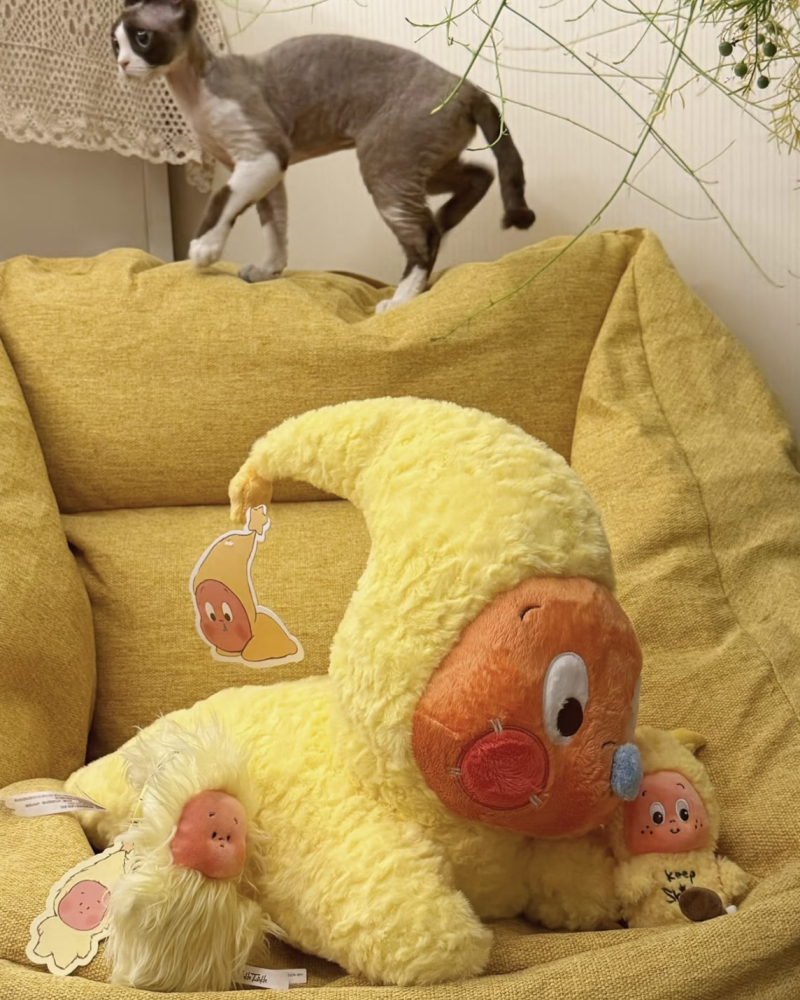 預購｜POP MART 星星人抱枕